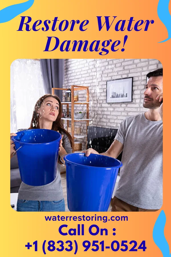 water restoration Eco Flood Cleanup Inc Dallas