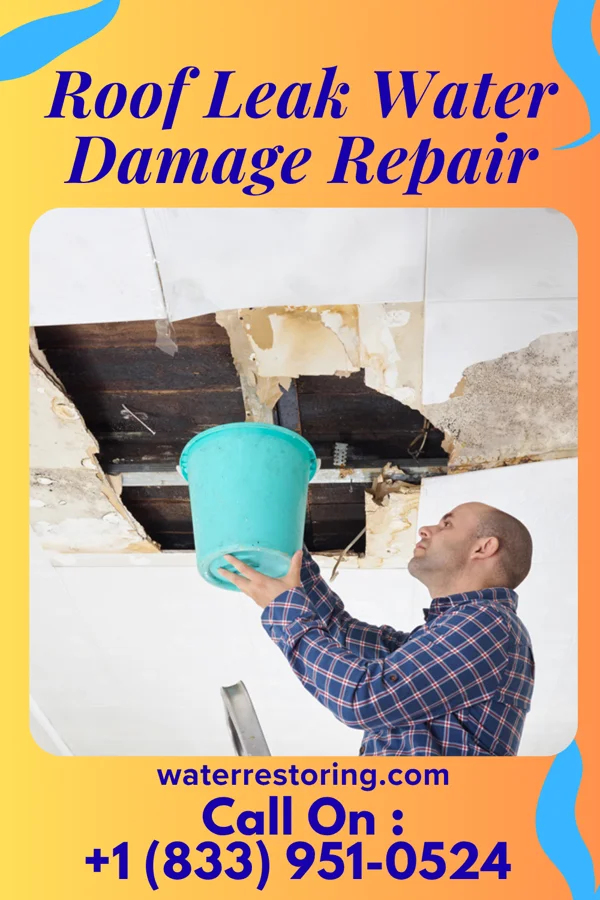 Roof Leak Water Damage Repair in Dallas, NC